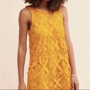 NWT Anthropologie Lace Shift Dress